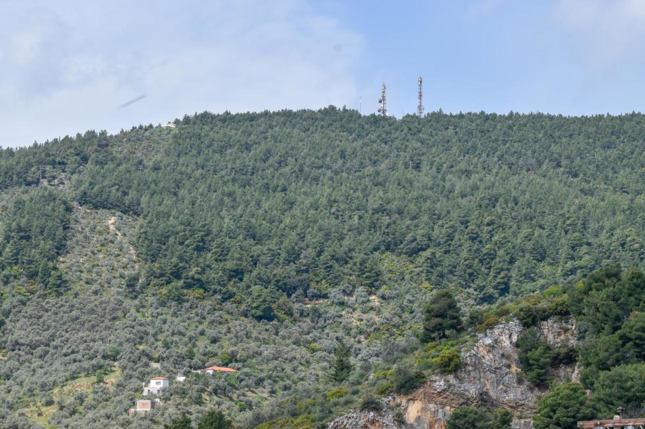 Apartmán Zoe'S Flat Megali Ammos Skiathos Exteriér fotografie